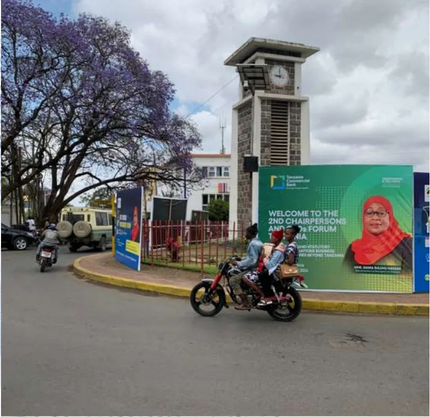 TCB Chairpersons and CEOs Forum roundabout branding in Arusha